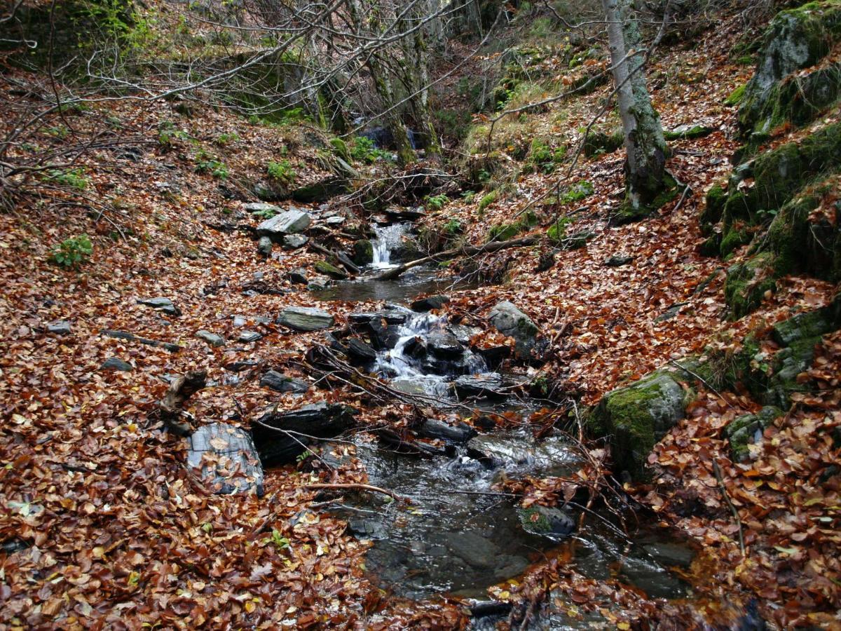El Huerto De Leon Βίλα Pradena del Rincon Εξωτερικό φωτογραφία