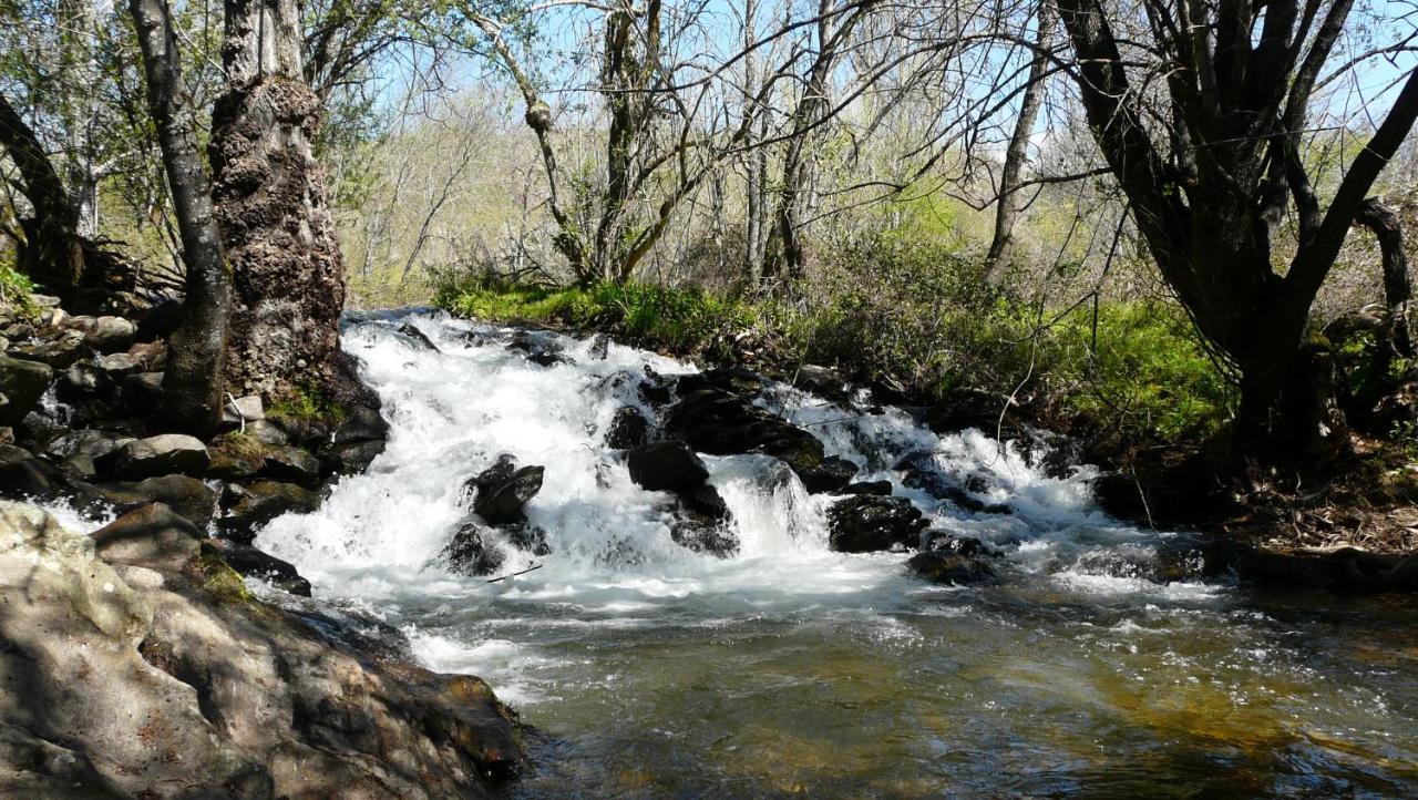 El Huerto De Leon Βίλα Pradena del Rincon Εξωτερικό φωτογραφία