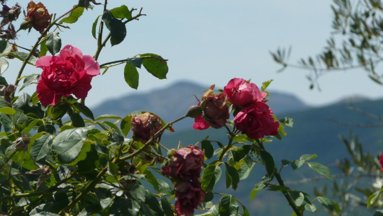 El Huerto De Leon Βίλα Pradena del Rincon Εξωτερικό φωτογραφία