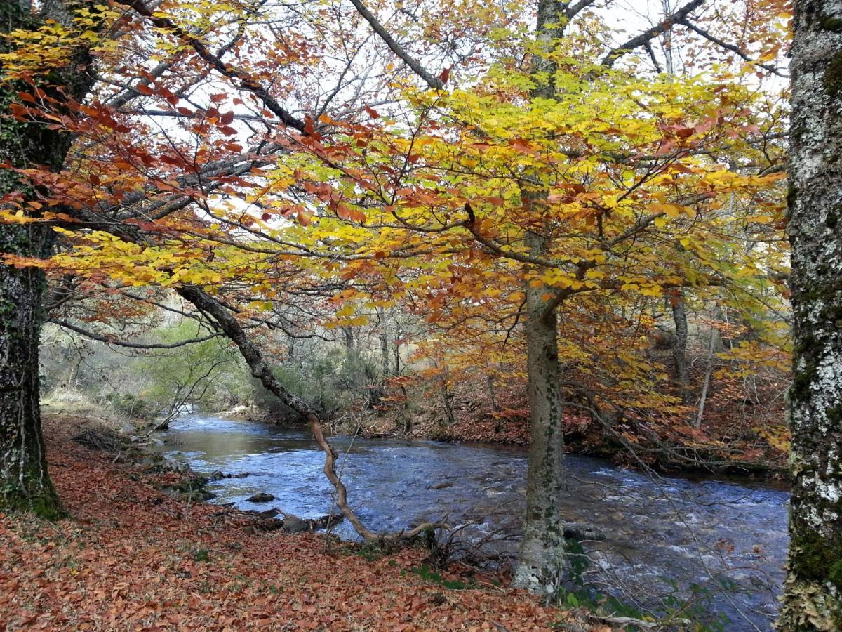 El Huerto De Leon Βίλα Pradena del Rincon Εξωτερικό φωτογραφία